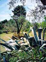 Agriturismo Le Pantane